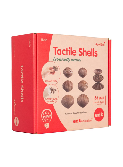 SET DE CONCHAS CON TEXTURA-1