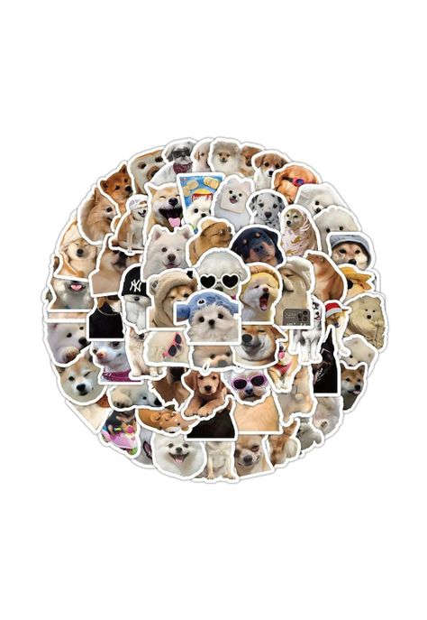 Pack Sticker pegatinas divertidos Perros Memes-1