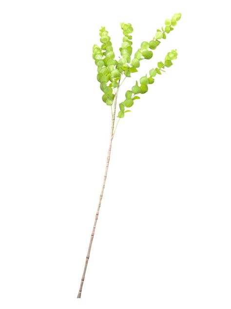 Flor Artificial Eucalipto Artificial Flores Decorativas 90cm-0