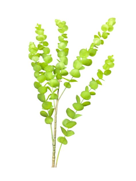 Flor Artificial Eucalipto Artificial Flores Decorativas 90cm-1