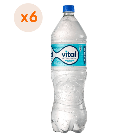 6x Agua Purificada Vital Con Gas 1600cc-1