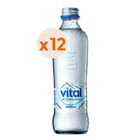 12x Agua Vital Con Gas Botella Vidrio 330cc-1