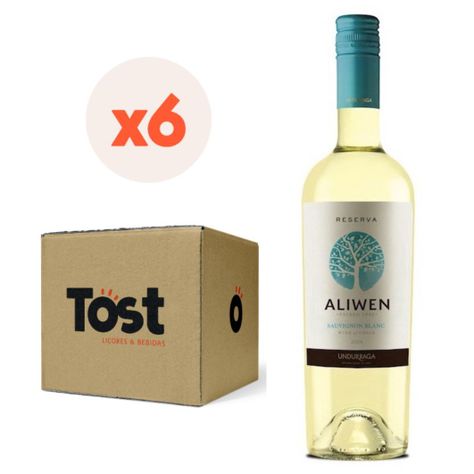 6x Vino Aliwen Reserva Sauvignon Blanc 750cc-0