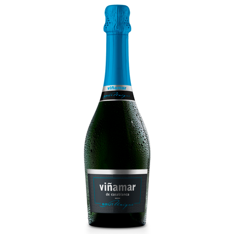 Espumante Viñamar Brut Unique 12,8° 750cc-0