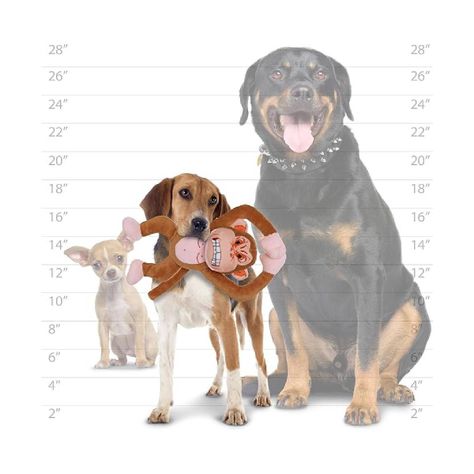Vip Products Animales Enojados Mon-1