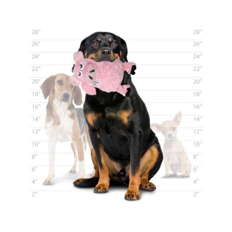 Vip Products Animales Enojados Cerdito-1