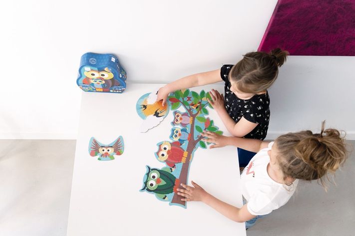 PUZZLE 39PCS DOBLE CON FORMA, BUHO-6