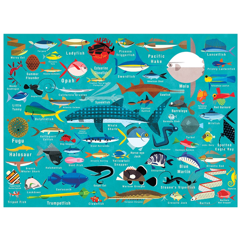 PUZZLE 1000PCS, VIDA DEL OCEANO-0