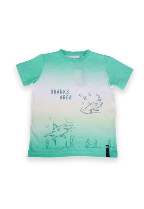 Polera Niño Verde Pillin-0