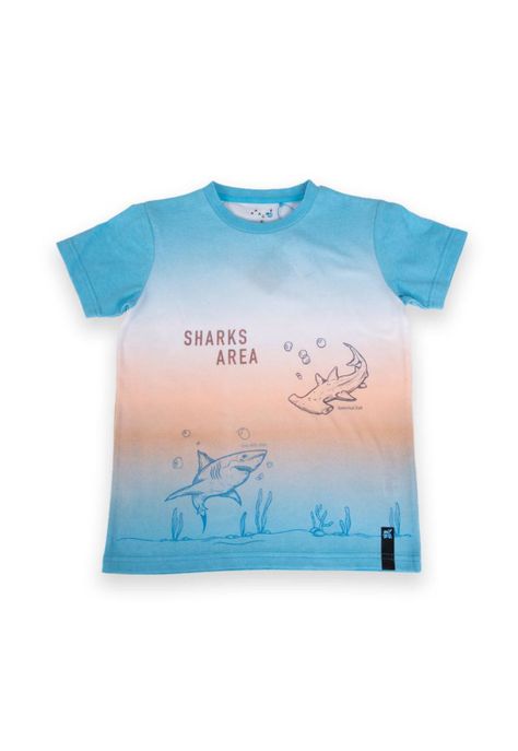 Polera Niño Turquesa Pillin-0