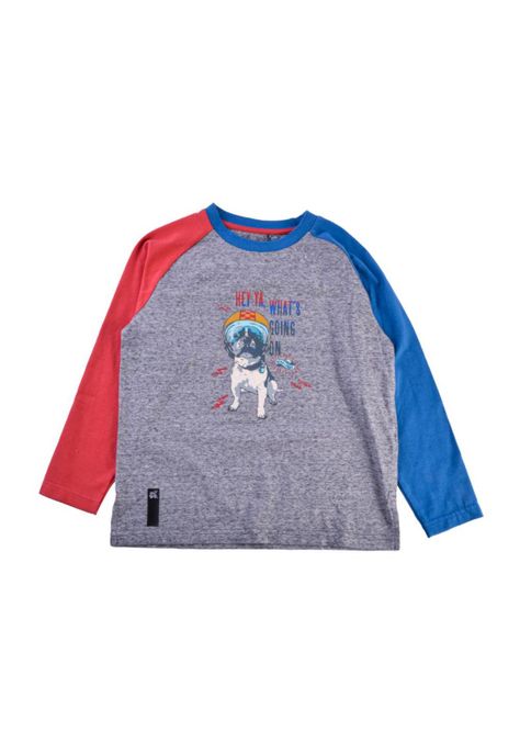 Polera Manga Larga Niño Gris Pillin-0