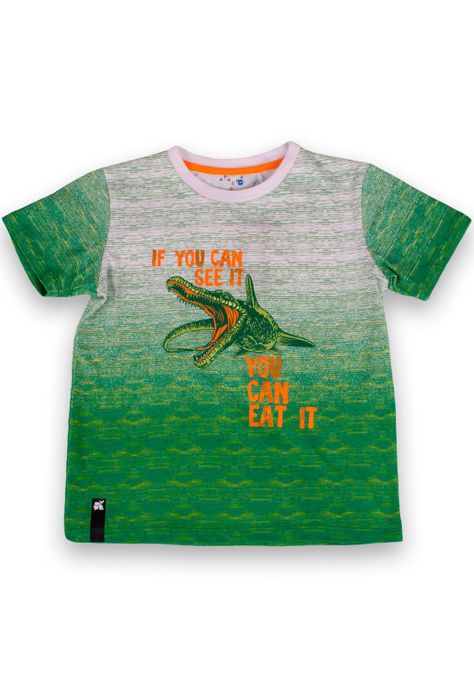Polera Niño Verde Pillin-0