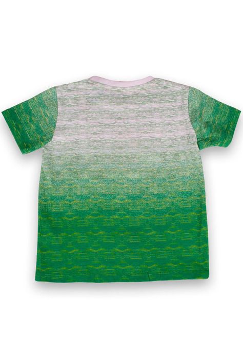 Polera Niño Verde Pillin-2