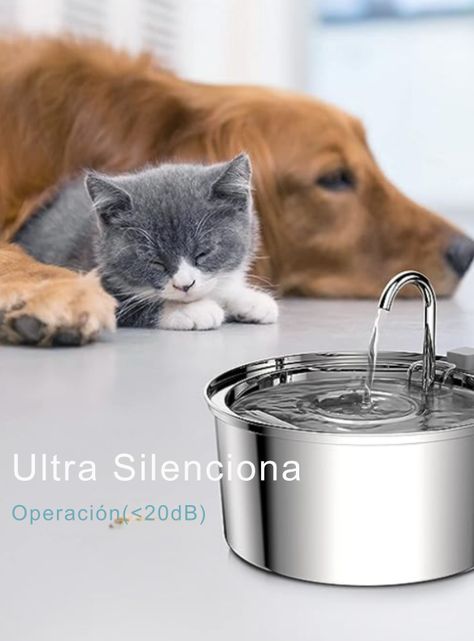 Bebedero Gato Inox Llave Silenciosa Sensor 4 Filtros-3