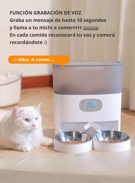 Dispensador Automático Comida Gato Doble Plato 5.6 L-6