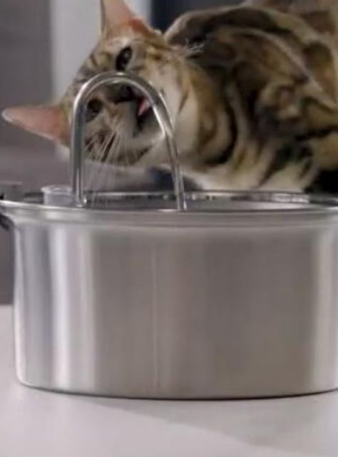 Bebedero Gato Acero Inox Llave Silenciosa Sensor Movimiento-6