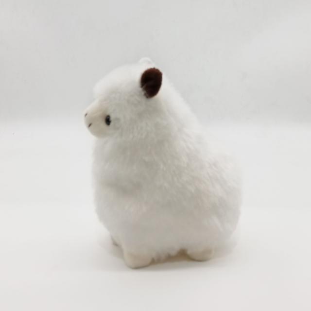 0100