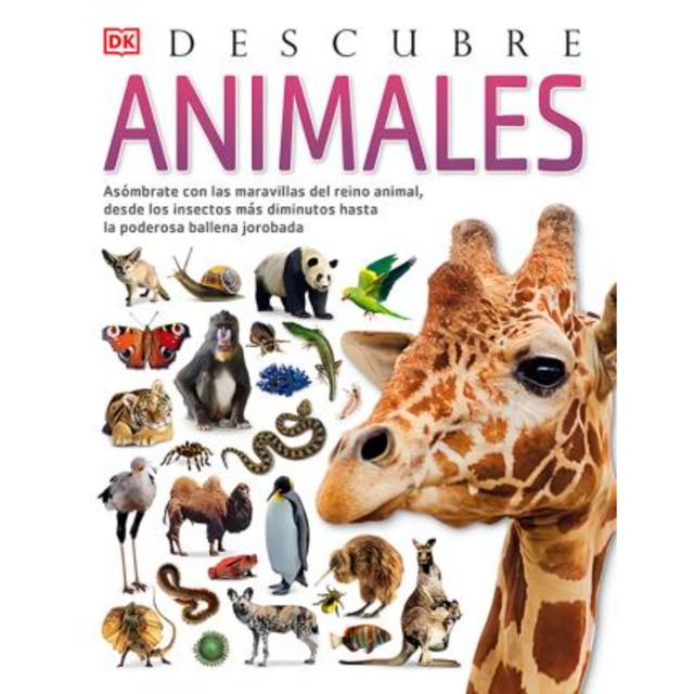 Imagen de producto