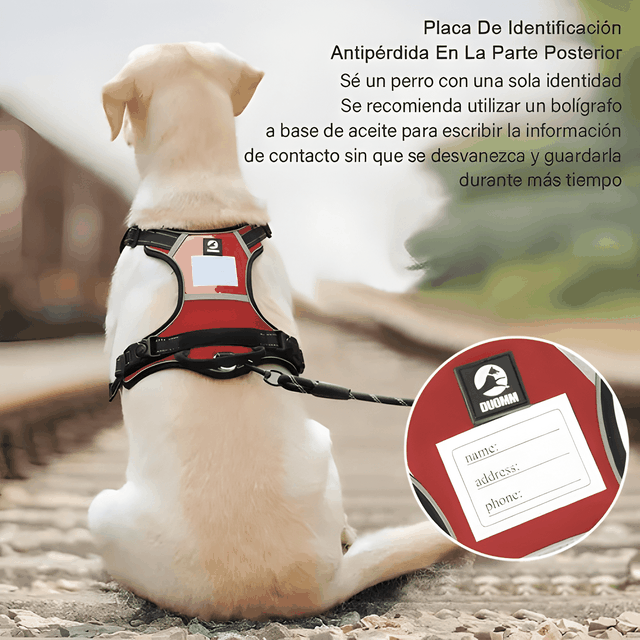 Imagen de producto