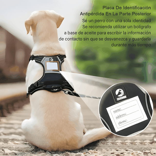Imagen de producto