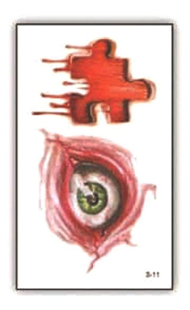 Imagen de producto
