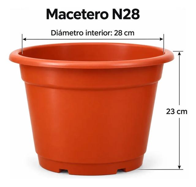 Imagen de producto