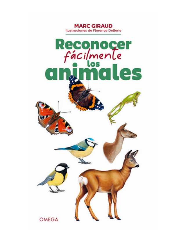 Imagen de producto