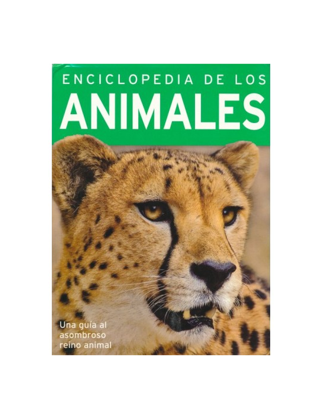 Imagen de producto