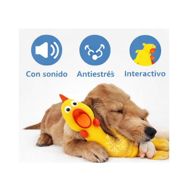 Imagen de producto