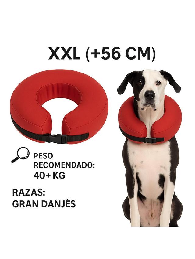 Imagen de producto