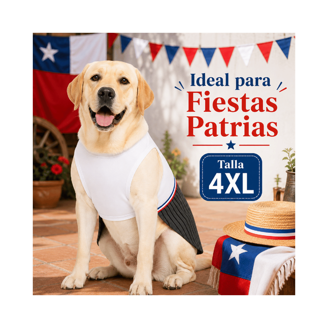 Imagen de producto