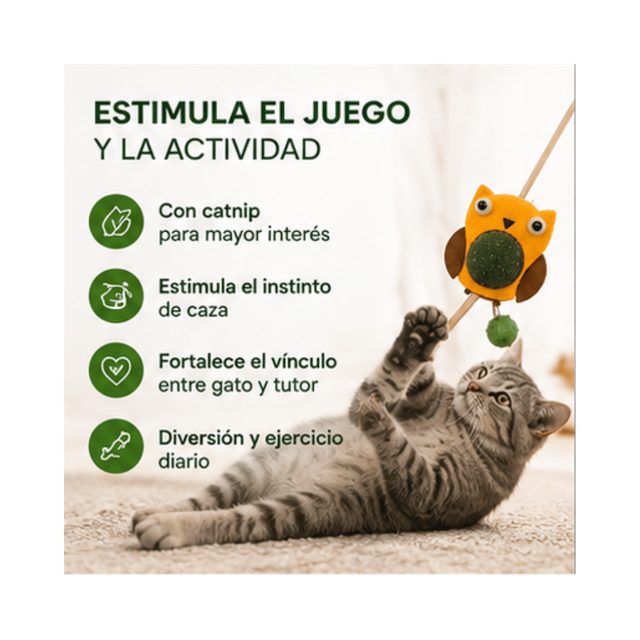 Imagen de producto