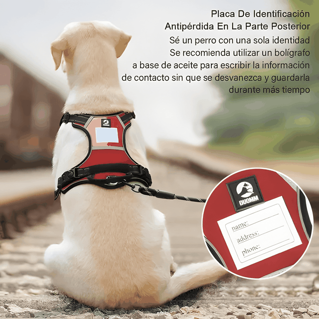 Imagen de producto