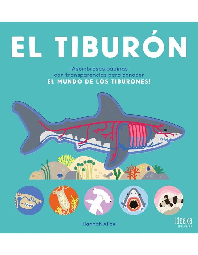 Imagen de producto