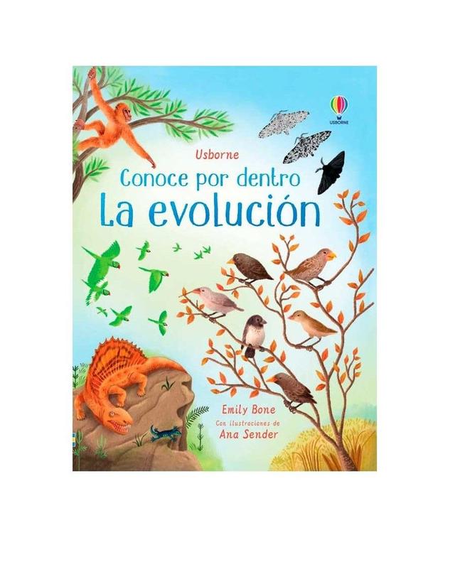 Imagen de producto