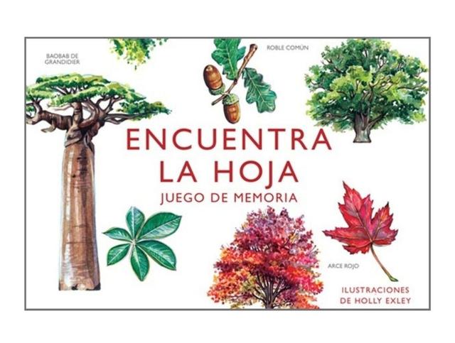 Imagen de producto