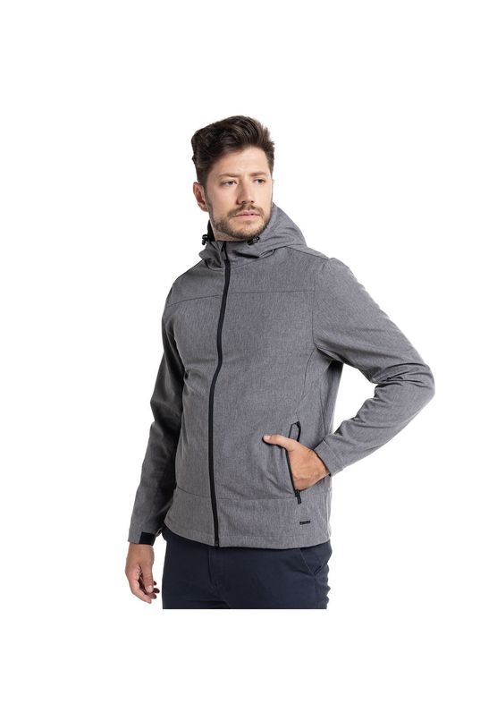 Gris