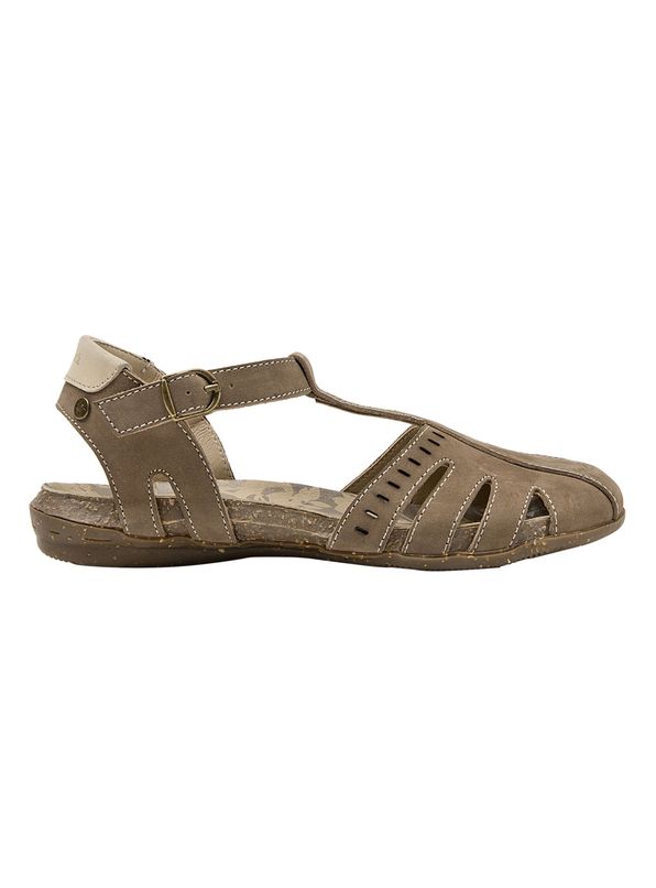 Beige Oscuro