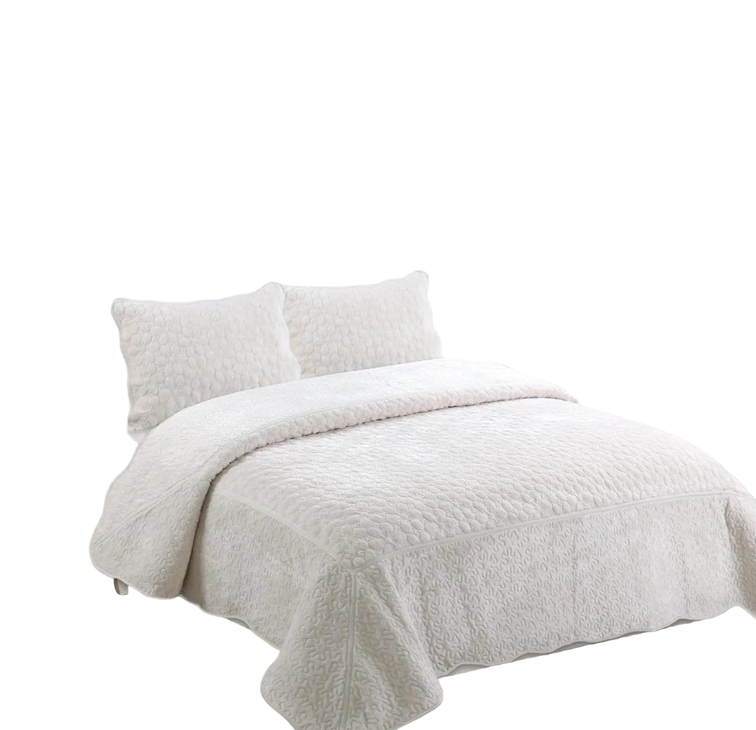 Blanco [ 100 ]