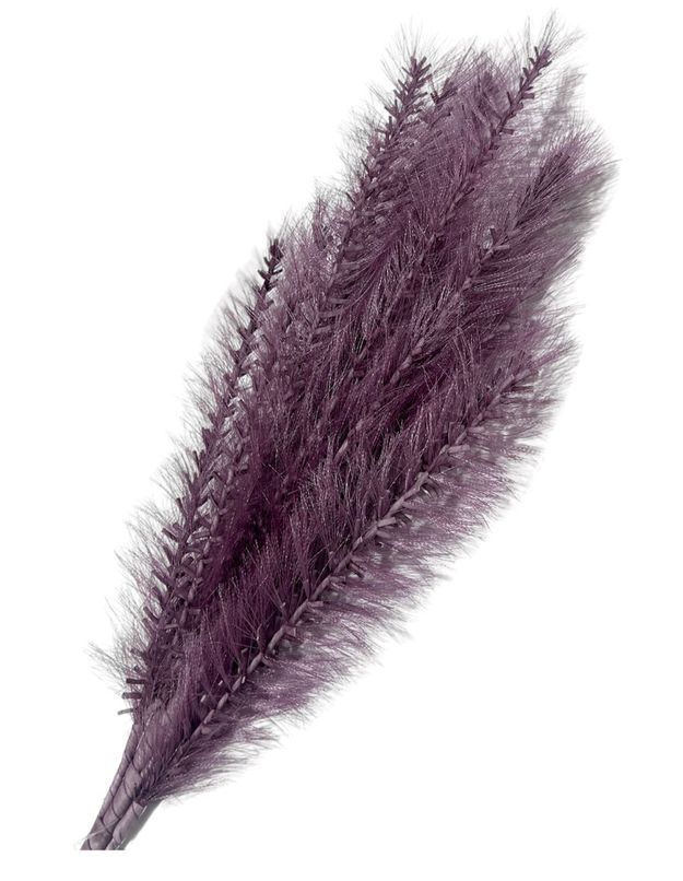 Morado