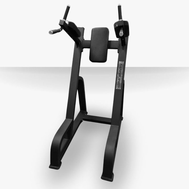 Elevación Vertical de Pierna Dip and Knee Raise Station 1036-0