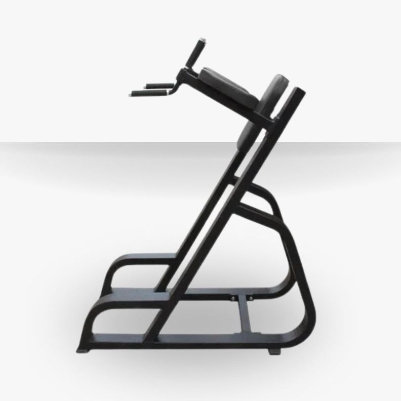Elevación Vertical de Pierna Dip and Knee Raise Station 1036-1