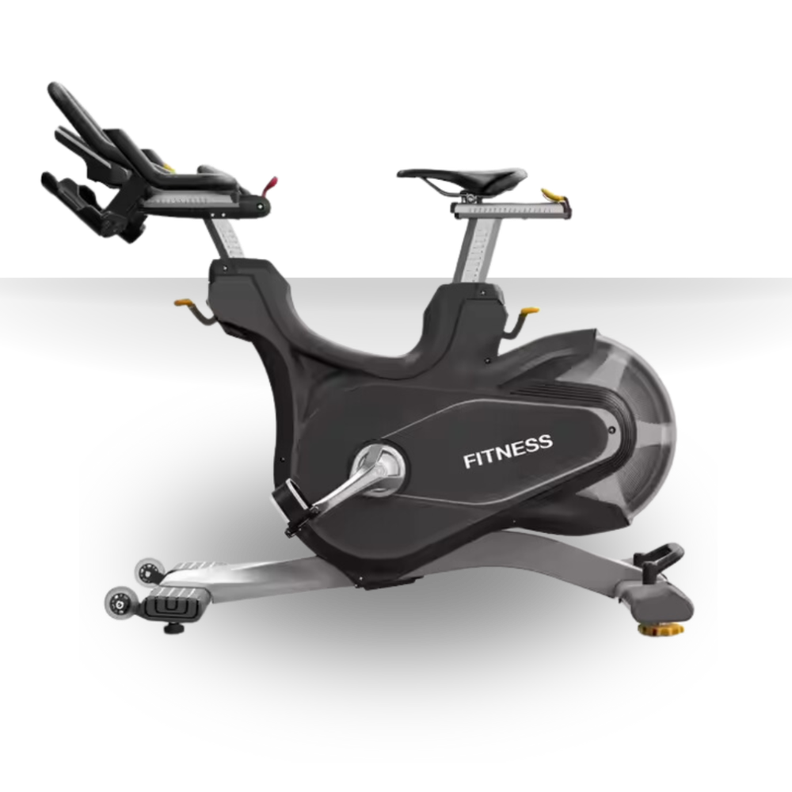 Bicicleta Spinning Magnética Profesional D06-0
