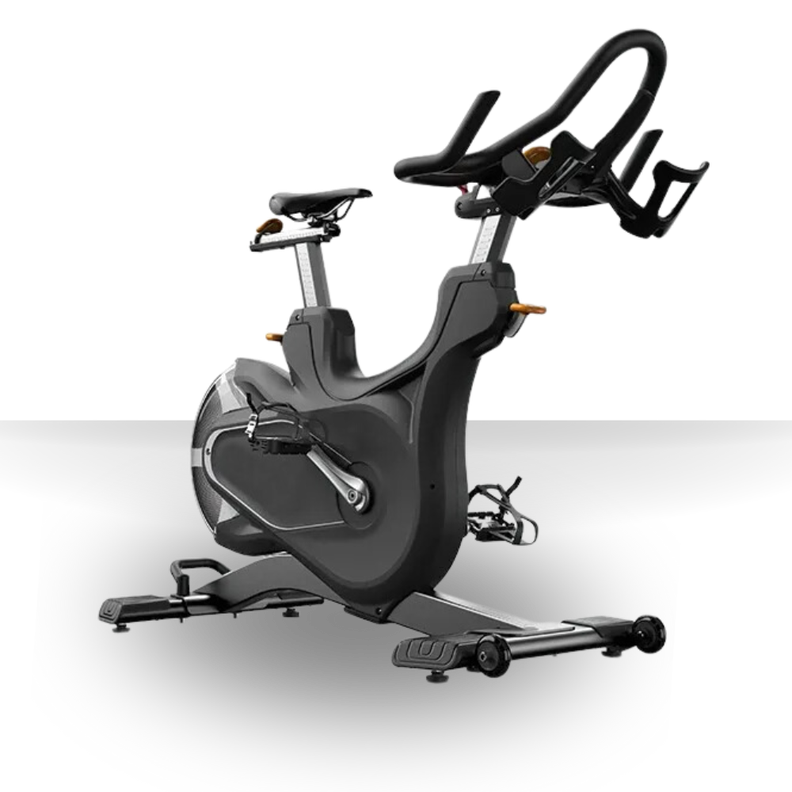 Bicicleta Spinning Magnética Profesional D06-1