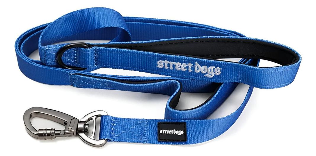 Correa De Paseo Y Adiestramiento Para Perros Street Dogs 5m