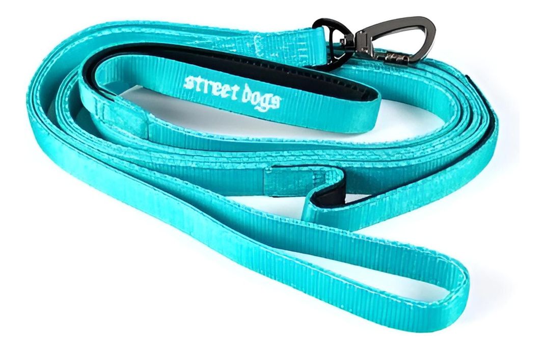 Correa De Paseo Para Perros Street Dogs Light 5m