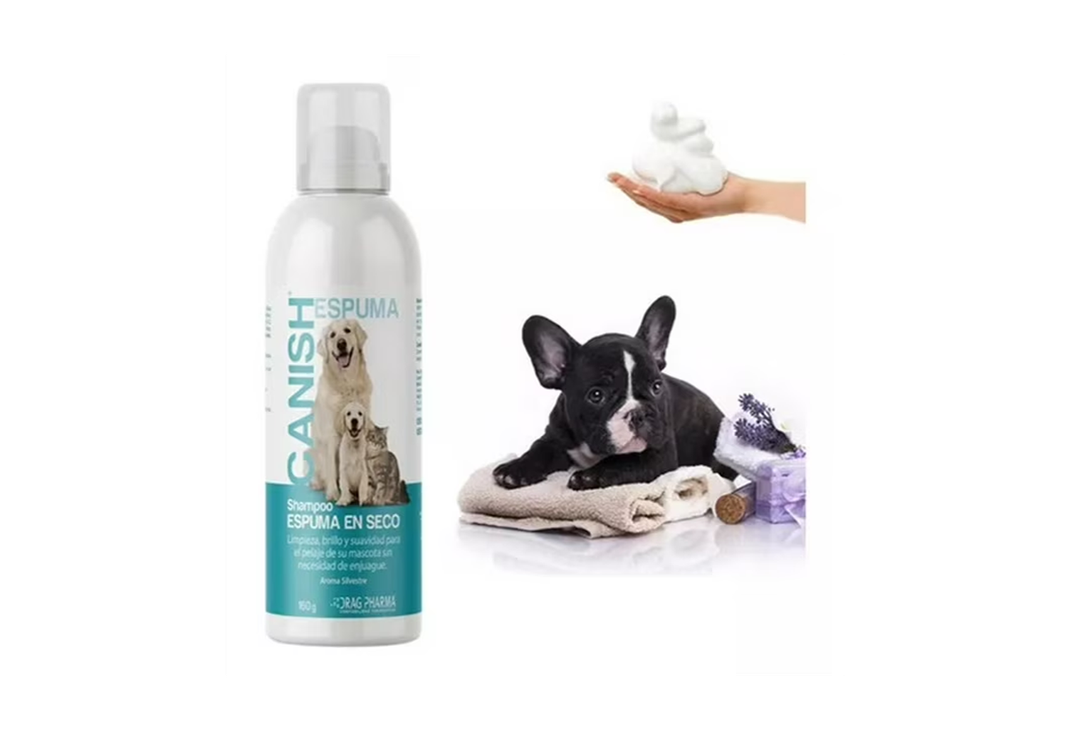 Shampoo Canish Espuma En Seco Para Perro Gato 160g Celeste 160x160