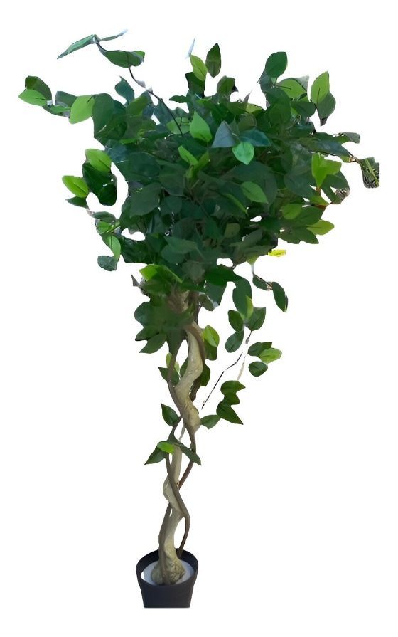 Árbol Artificial Realista Ficus Trenzado 120cm Jhn-0