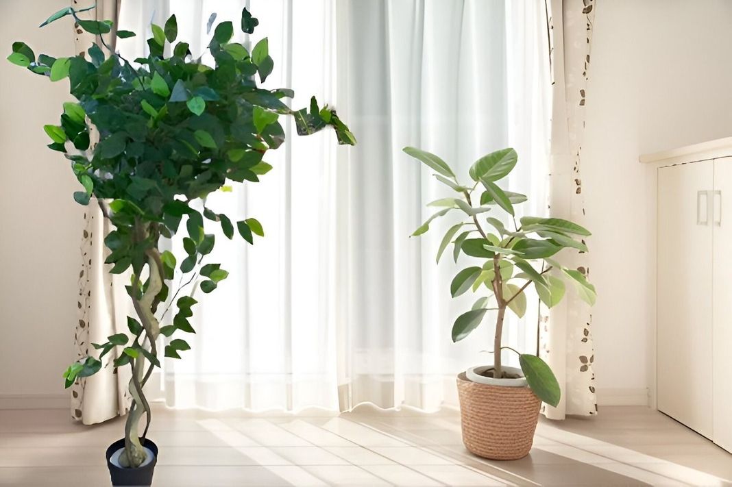 Árbol Artificial Realista Ficus Trenzado 120cm Jhn-6
