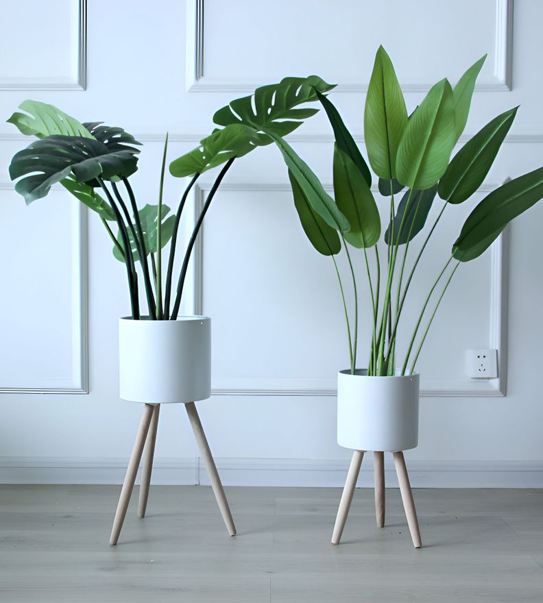 Set Macetas Planta Patas Interior Exterior Flores Blanca Jhn-5